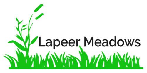 Lapeer Meadows MHC