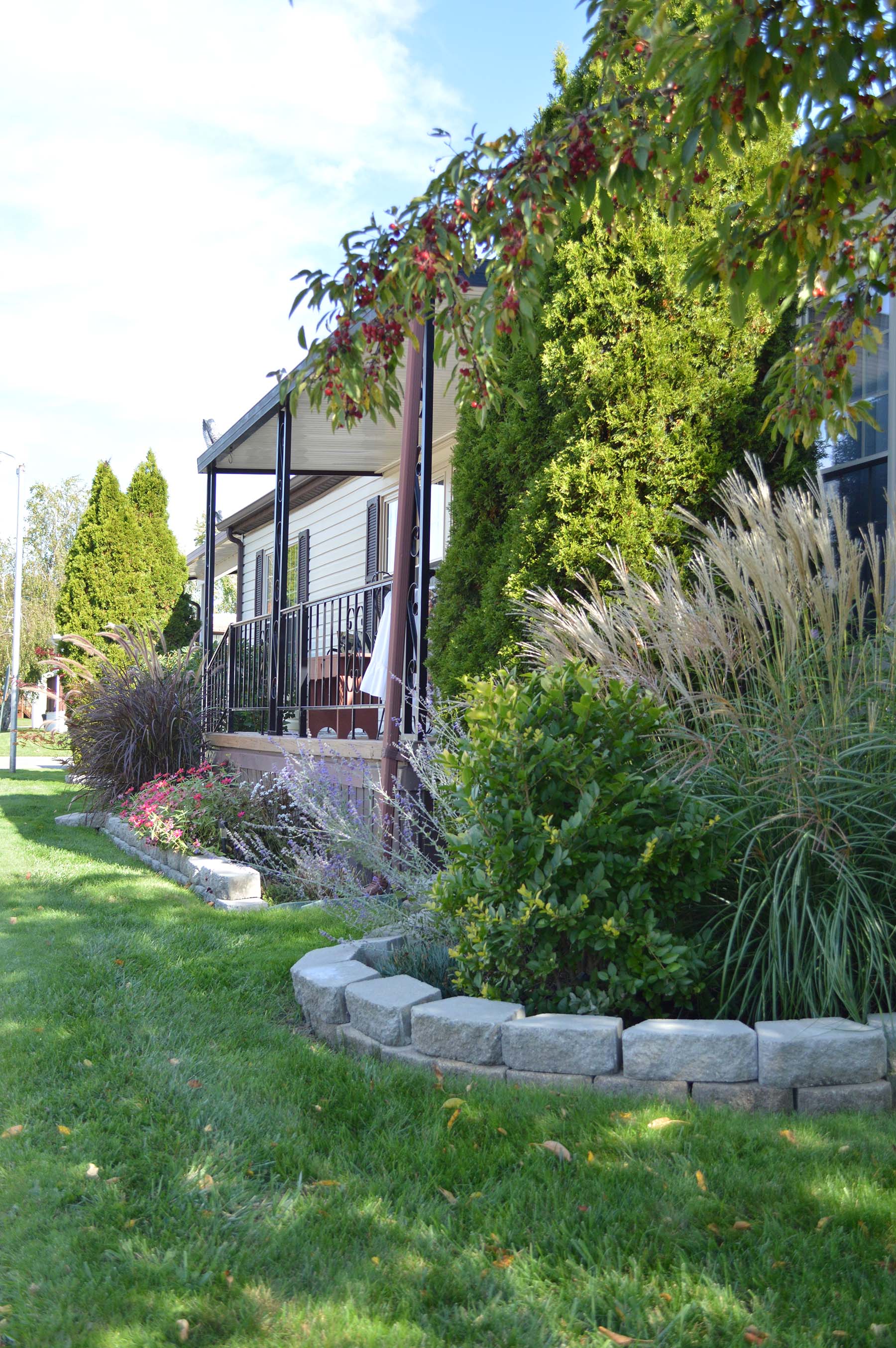 Garden bed and mature landscaping